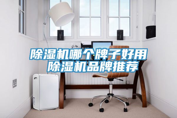 91看片软件大全哪個牌子好用 91看片软件大全品牌推薦