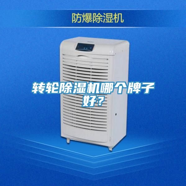 轉輪91看片软件大全哪個牌子好？