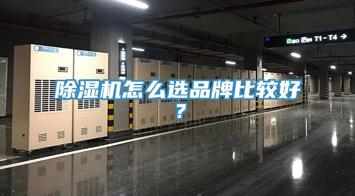 91看片软件大全怎麽選品牌比較好？