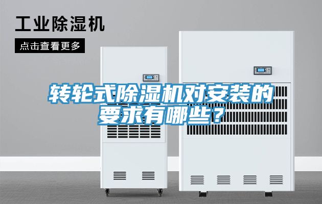 轉輪式91看片软件大全對安裝的要求有哪些？