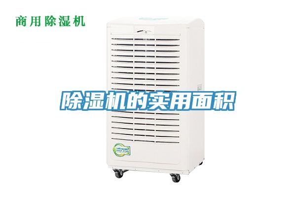 91看片软件大全的實用麵積