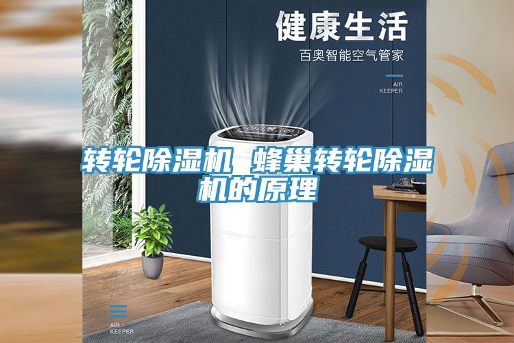 轉輪91看片软件大全 蜂巢轉輪91看片软件大全的原理