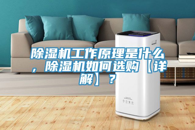 91看片软件大全工作原理是什麽，91看片软件大全如何選購【詳解】？