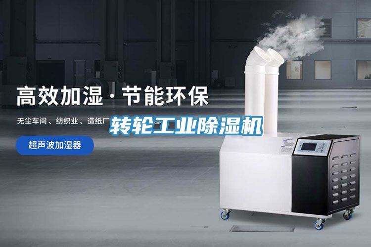 轉輪工業91看片软件大全