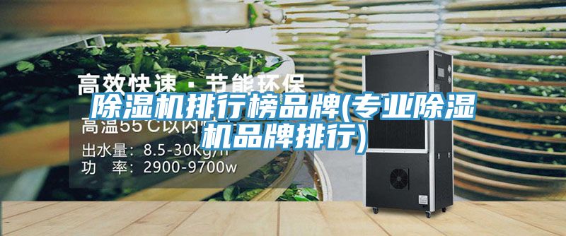 91看片软件大全排行榜品牌(專業91看片软件大全品牌排行)