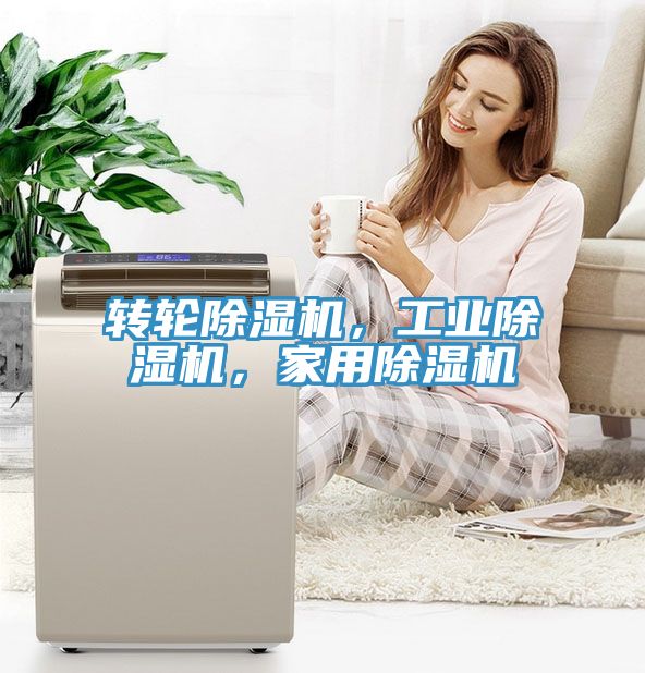 轉輪91看片软件大全，工業91看片软件大全，家用91看片软件大全