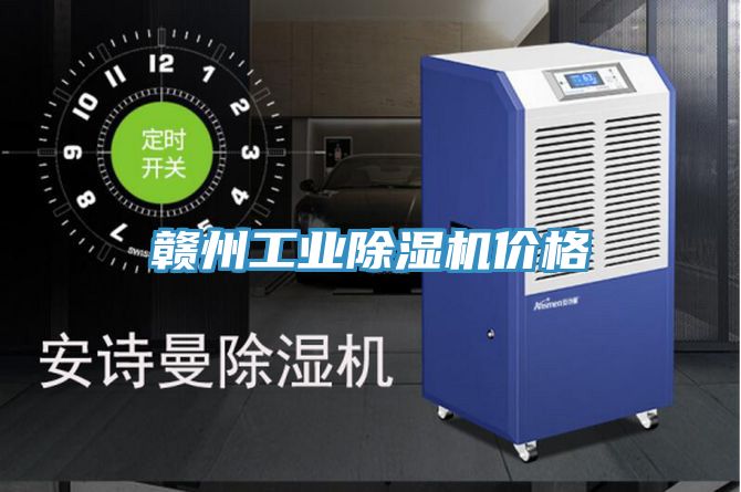 贛州工業91看片软件大全價格