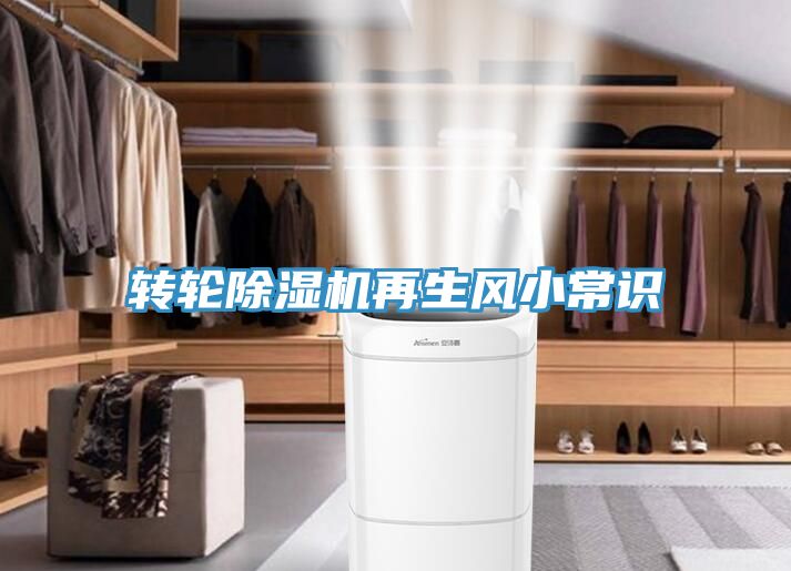 轉輪91看片软件大全再生風小常識