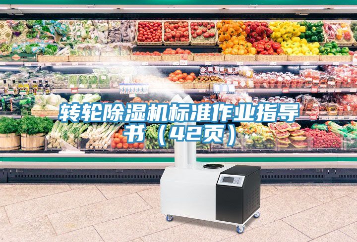 轉輪91看片软件大全標準作業指導書（42頁）