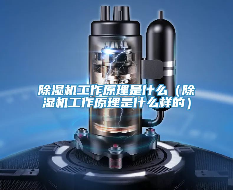 91看片软件大全工作原理是什麽（91看片软件大全工作原理是什麽樣的）