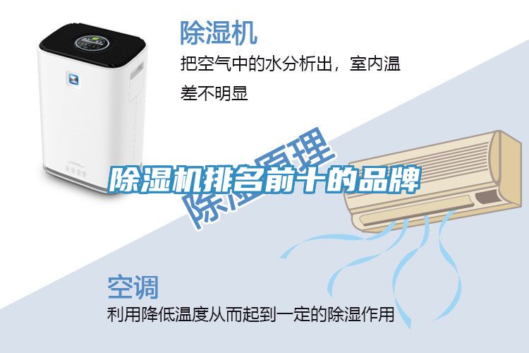 91看片软件大全排名前十的品牌