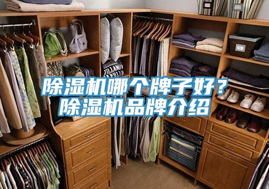 91看片软件大全哪個牌子好？91看片软件大全品牌介紹