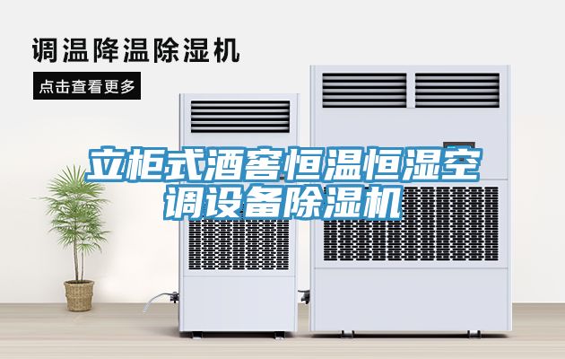 立櫃式酒窖恒溫恒濕空調設備91看片软件大全
