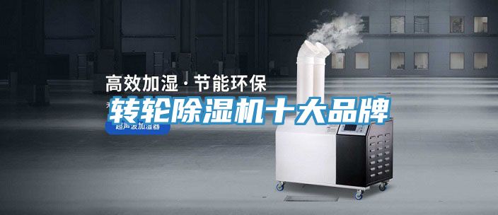 轉輪91看片软件大全十大品牌