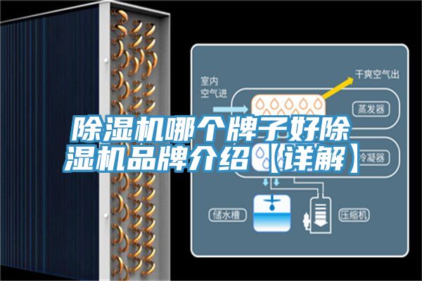 91看片软件大全哪個牌子好91看片软件大全品牌介紹【詳解】