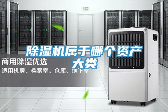 91看片软件大全屬於哪個資產大類