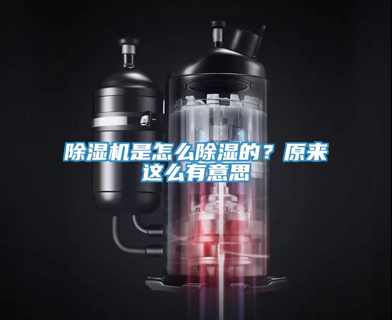 91看片软件大全是怎麽除濕的？原來這麽有意思