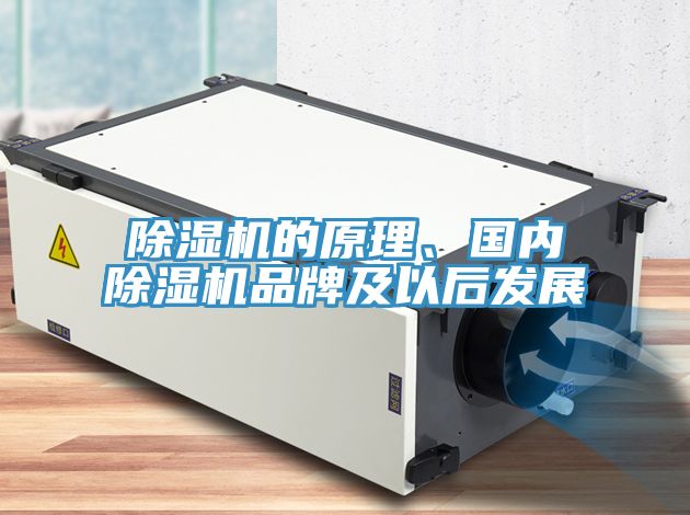 91看片软件大全的原理、國內91看片软件大全品牌及以後發展
