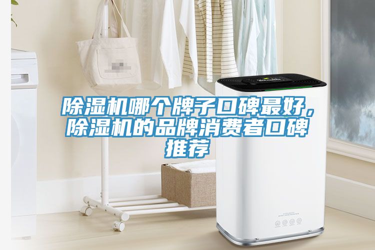 91看片软件大全哪個牌子口碑最好，91看片软件大全的品牌消費者口碑推薦