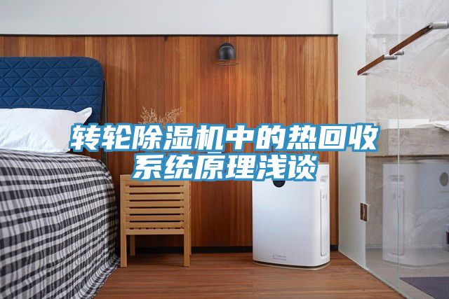轉輪91看片软件大全中的熱回收係統原理淺談