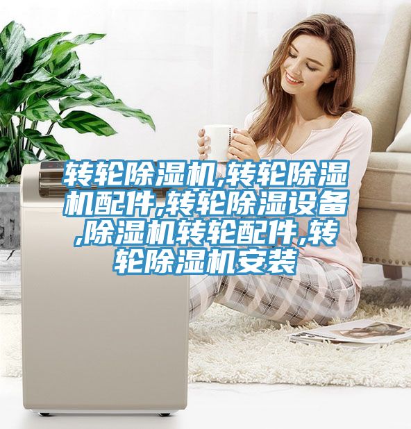 轉輪91看片软件大全,轉輪91看片软件大全配件,轉輪除濕設備,91看片软件大全轉輪配件,轉輪91看片软件大全安裝