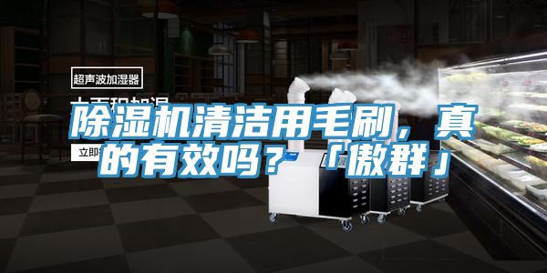 91看片软件大全清潔用毛刷，真的有效嗎？「傲群」
