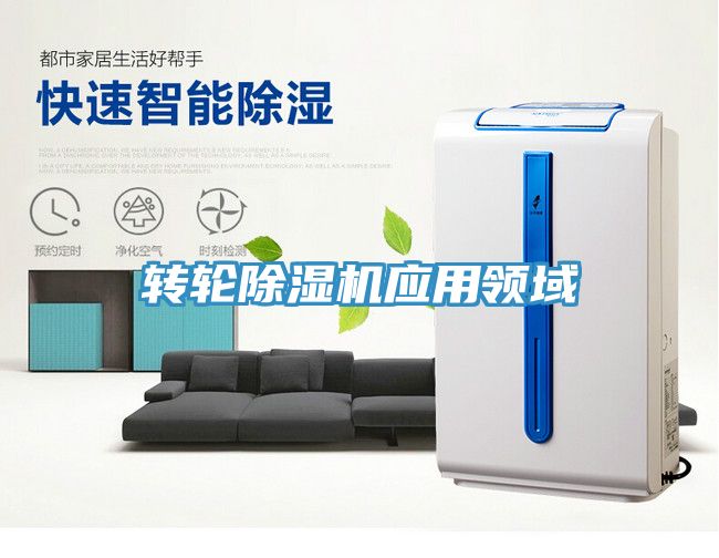 轉輪91看片软件大全應用領域