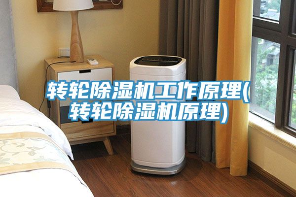 轉輪91看片软件大全工作原理(轉輪91看片软件大全原理)