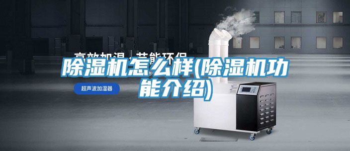 91看片软件大全怎麽樣(91看片软件大全功能介紹)