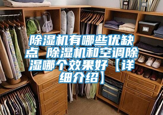 91看片软件大全有哪些優缺點 91看片软件大全和空調除濕哪個效果好【詳細介紹】