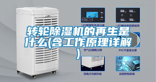轉輪91看片软件大全的再生是什麽(含工作原理詳解)