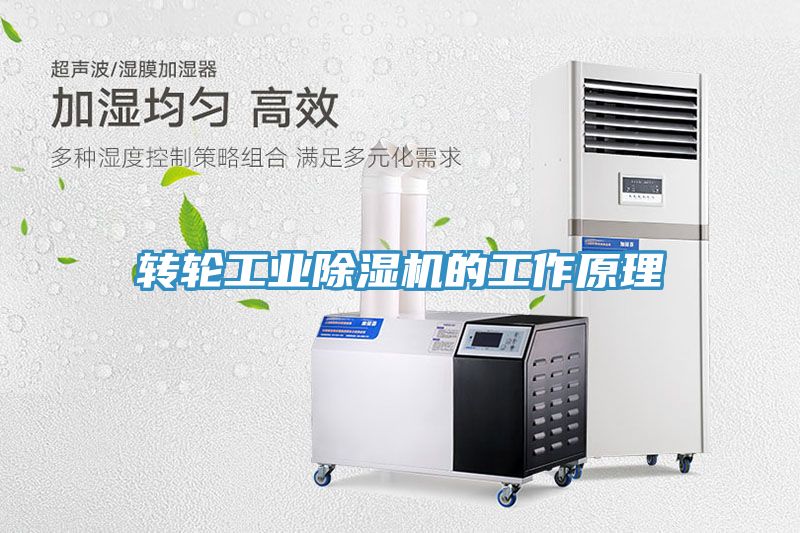 轉輪工業91看片软件大全的工作原理