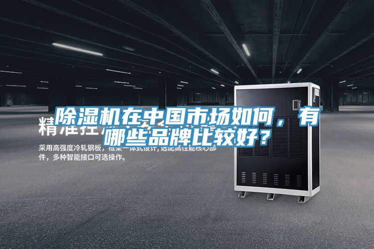91看片软件大全在中國市場如何，有哪些品牌比較好？