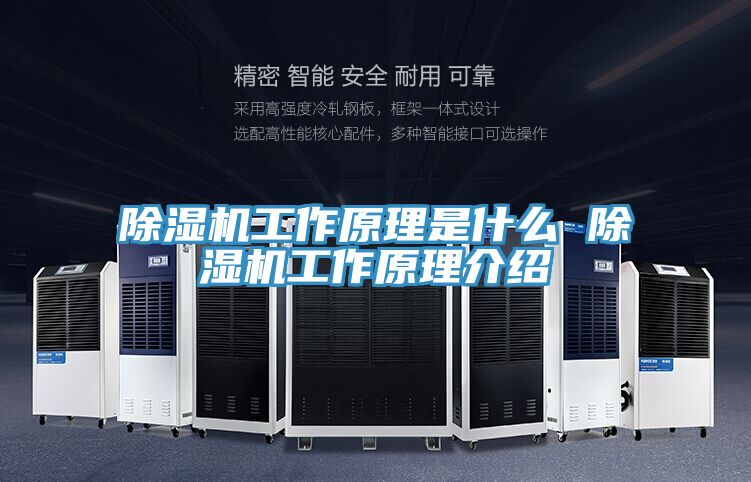 91看片软件大全工作原理是什麽 91看片软件大全工作原理介紹