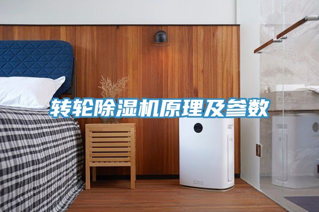 轉輪91看片软件大全原理及參數