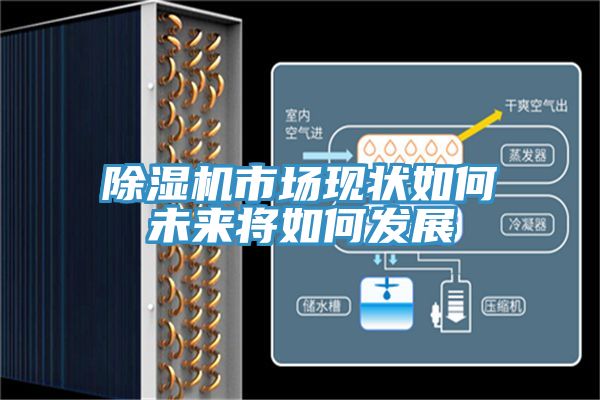 91看片软件大全市場現狀如何未來將如何發展