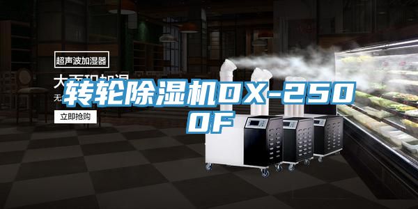 轉輪91看片软件大全DX-2500F