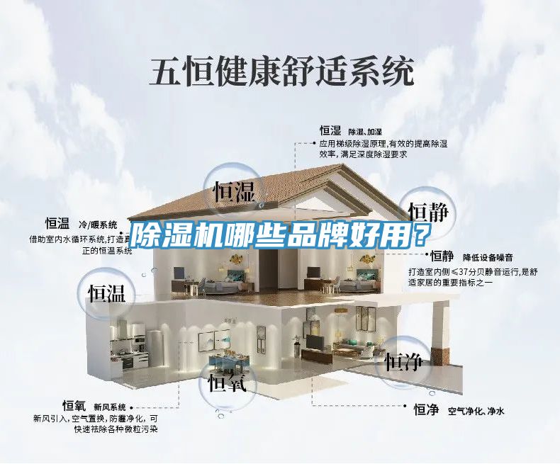 91看片软件大全哪些品牌好用？