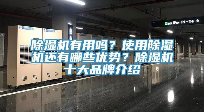 91看片软件大全有用嗎？使用91看片软件大全還有哪些優勢？91看片软件大全十大品牌介紹