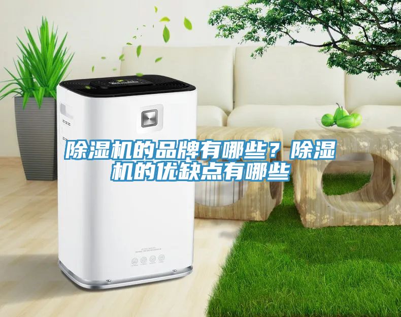 91看片软件大全的品牌有哪些？91看片软件大全的優缺點有哪些