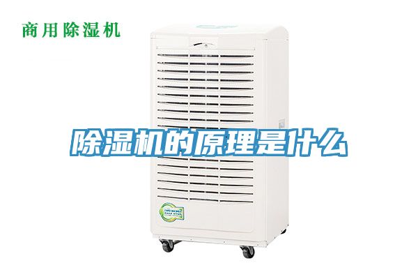 91看片软件大全的原理是什麽