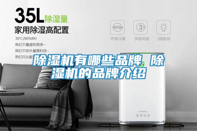 91看片软件大全有哪些品牌 91看片软件大全的品牌介紹