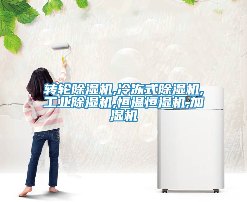 轉輪91看片软件大全,冷凍式91看片软件大全,工業91看片软件大全,恒溫恒濕機,加濕機