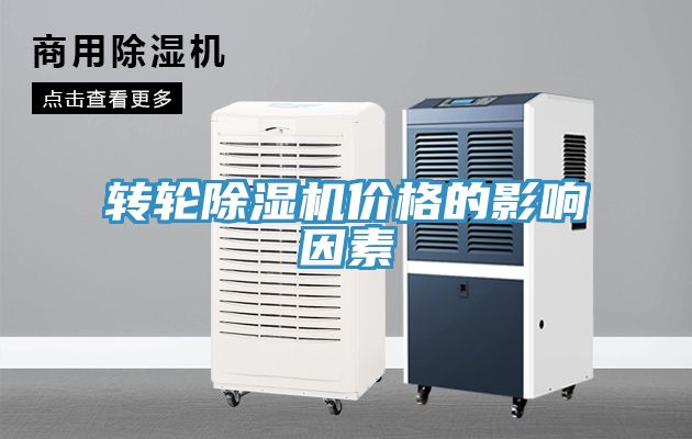 轉輪91看片软件大全價格的影響因素