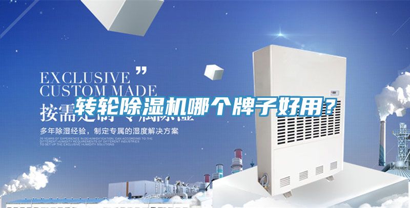 轉輪91看片软件大全哪個牌子好用？
