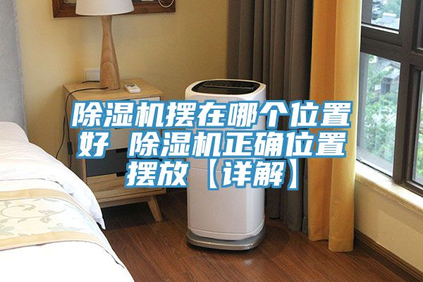 91看片软件大全擺在哪個位置好 91看片软件大全正確位置擺放【詳解】
