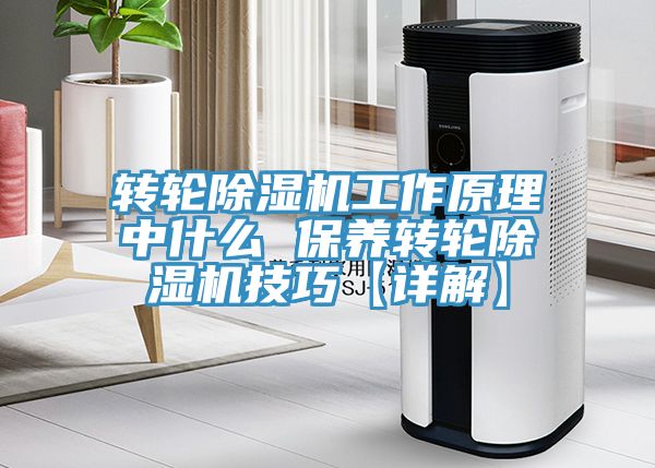 轉輪91看片软件大全工作原理中什麽 保養轉輪91看片软件大全技巧【詳解】