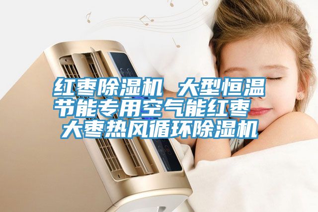 紅棗91看片软件大全 大型恒溫節能專用空氣能紅棗 大棗熱風循環91看片软件大全