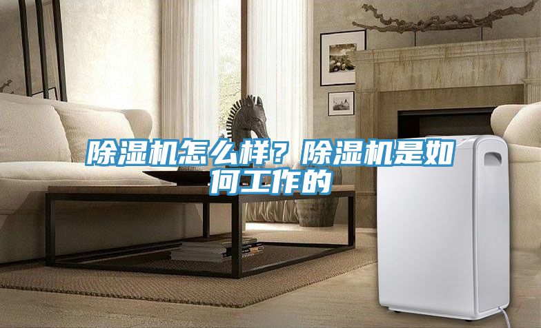 91看片软件大全怎麽樣？91看片软件大全是如何工作的