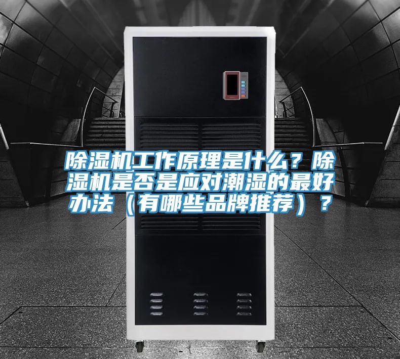 91看片软件大全工作原理是什麽？91看片软件大全是否是應對潮濕的最好辦法（有哪些品牌推薦）？